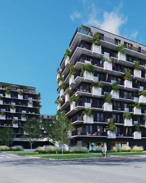 Kvetnica - vizualizácia