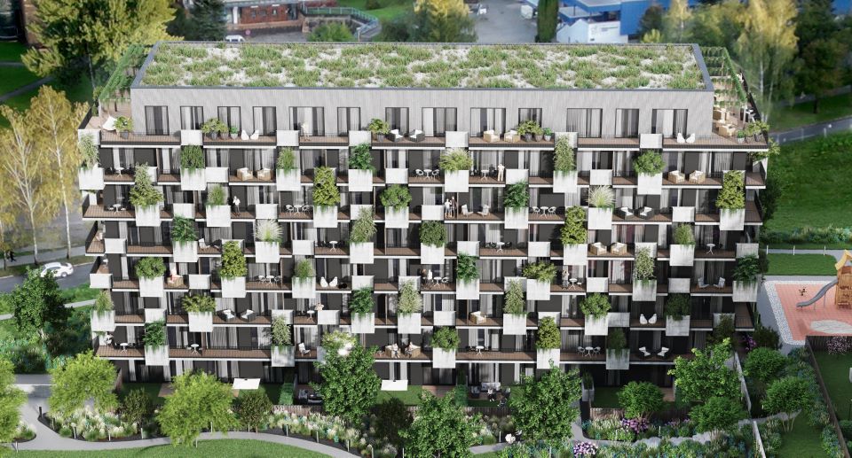 Kvetnica na výslní